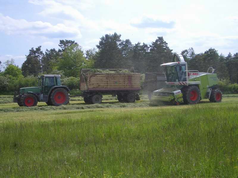 bilder/25_5_2005/jaguar_fendt_514_18.jpg