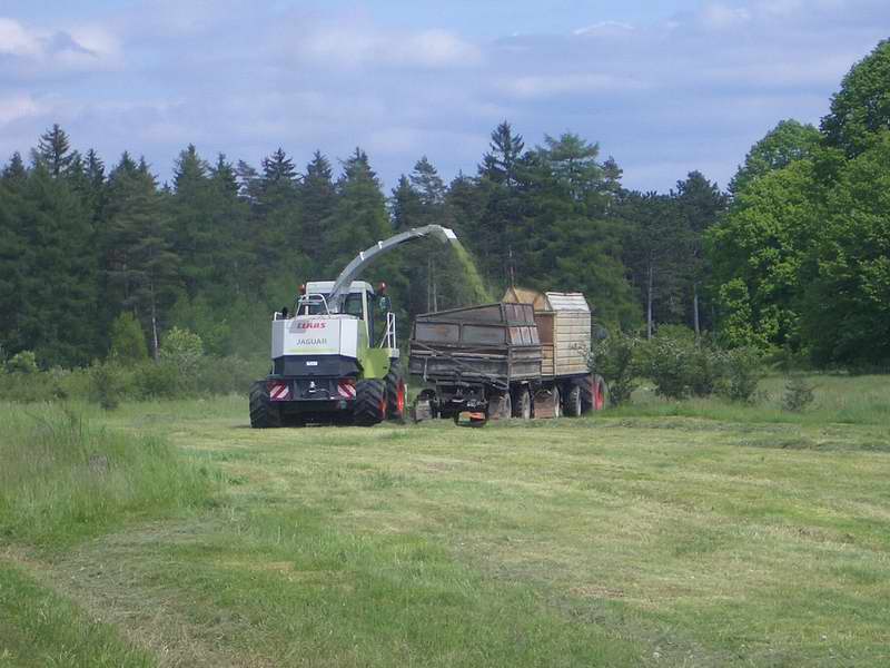 jaguar_fendt_514_20.jpg