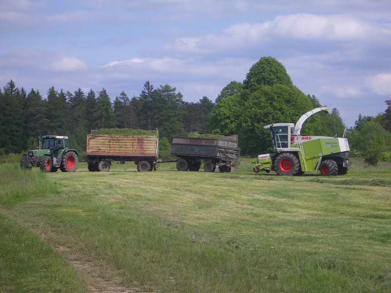 bilder/25_5_2005/jaguar_fendt_514_22.jpg