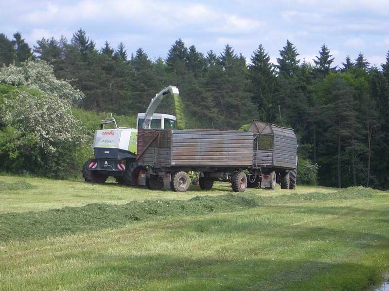 jaguar_fendt_824_10.jpg