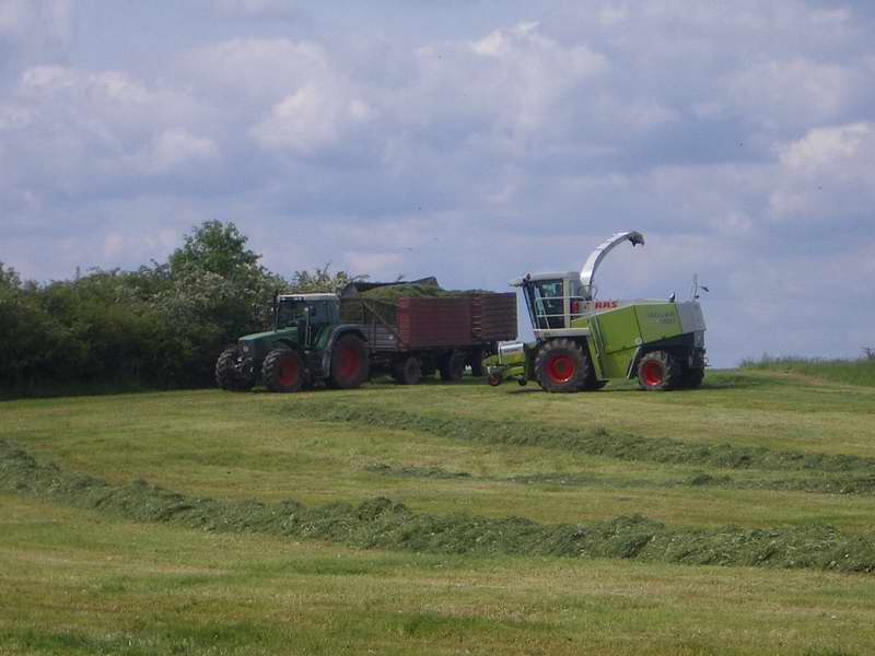 jaguar_fendt_824_14.jpg