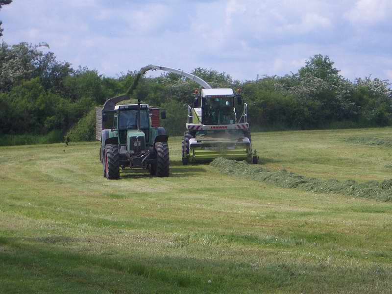 jaguar_fendt_824_15.jpg