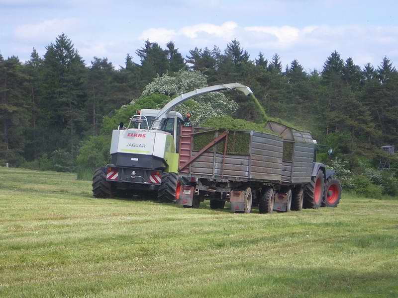 bilder/25_5_2005/jaguar_fendt_824_16.jpg