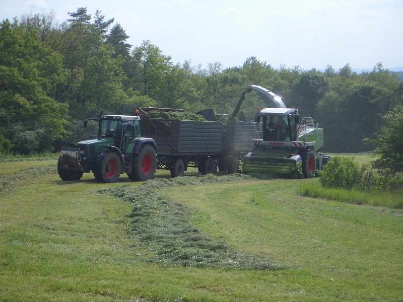 jaguar_fendt_824_20.jpg