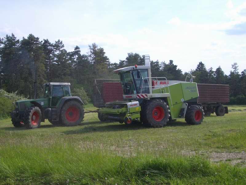 bilder/15_10_2011/CIMG5371.jpg