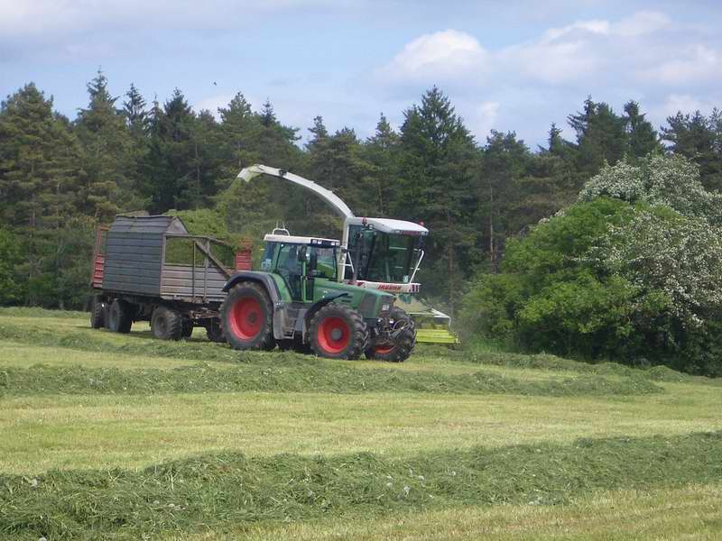bilder/25_5_2005/jaguar_fendt_824_9.jpg