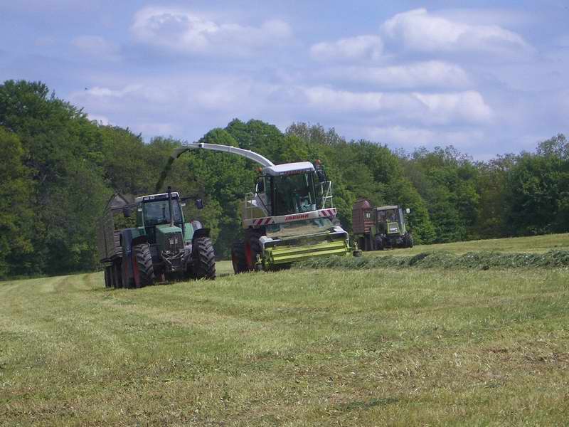 bilder/25_5_2005/jaguar_fendt_824_zt_323.jpg