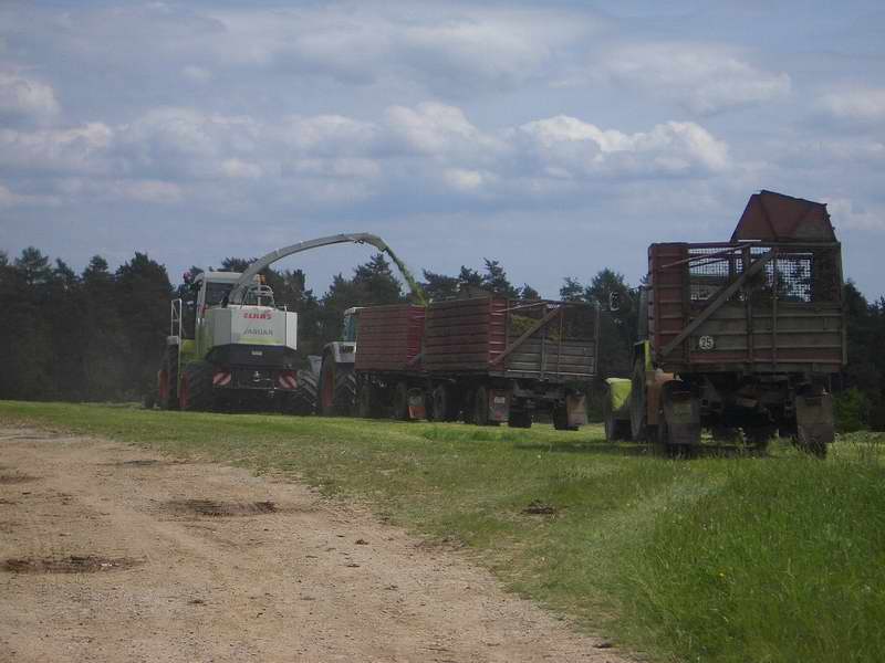 bilder/25_5_2005/jaguar_fendt_824_zt_323_2.jpg