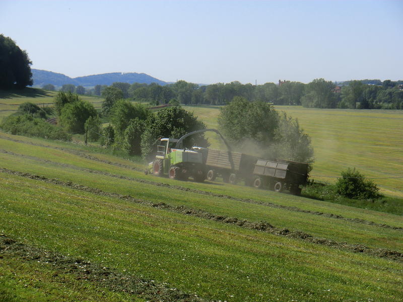 CIMG8370.jpg