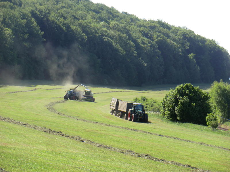 bilder/25_5_2012/CIMG8377.jpg