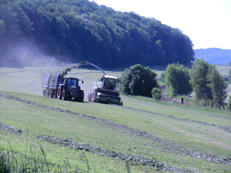 bilder/25_5_2012/CIMG8379.jpg