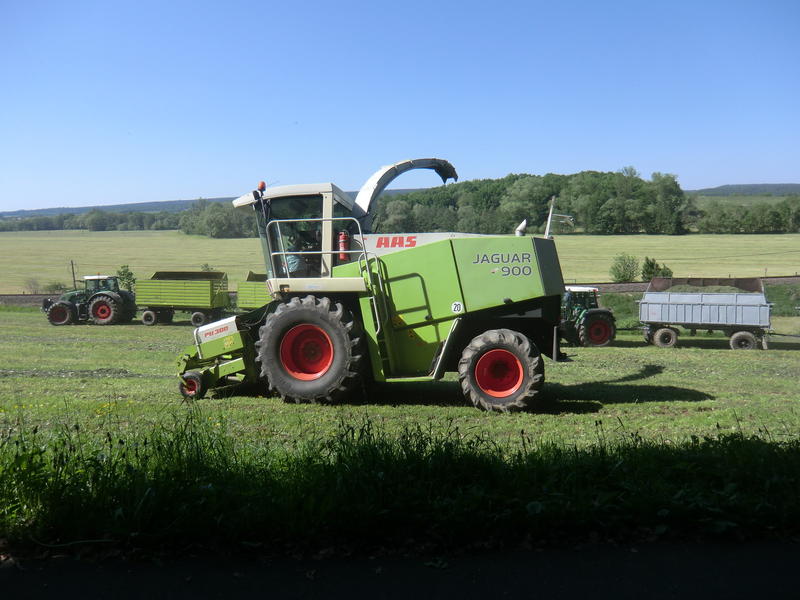 bilder/25_5_2012/CIMG8383.jpg
