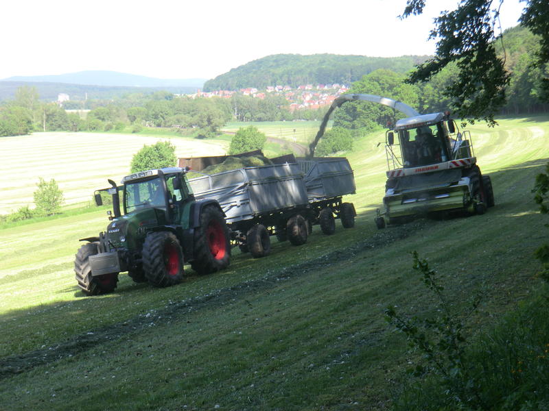 CIMG8387.jpg