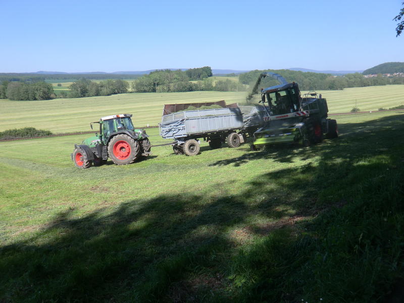 bilder/25_5_2012/CIMG8389.jpg