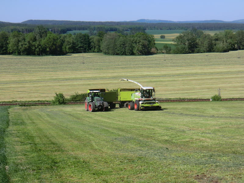 CIMG8393.jpg
