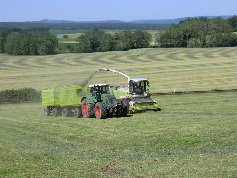 bilder/23_6_2014/CIMG3363.jpg