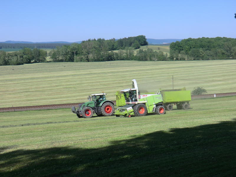 bilder/25_5_2012/CIMG8396.jpg