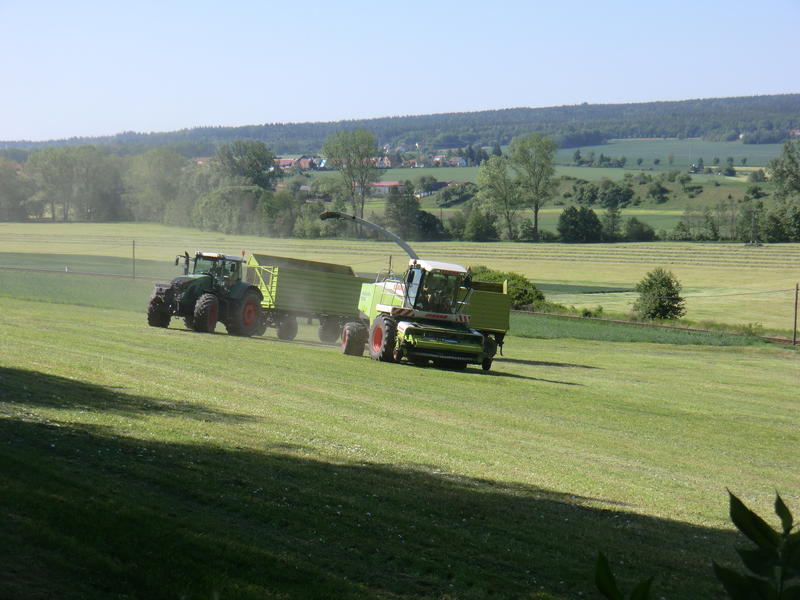 bilder/12_8_2014/CIMG7615.jpg