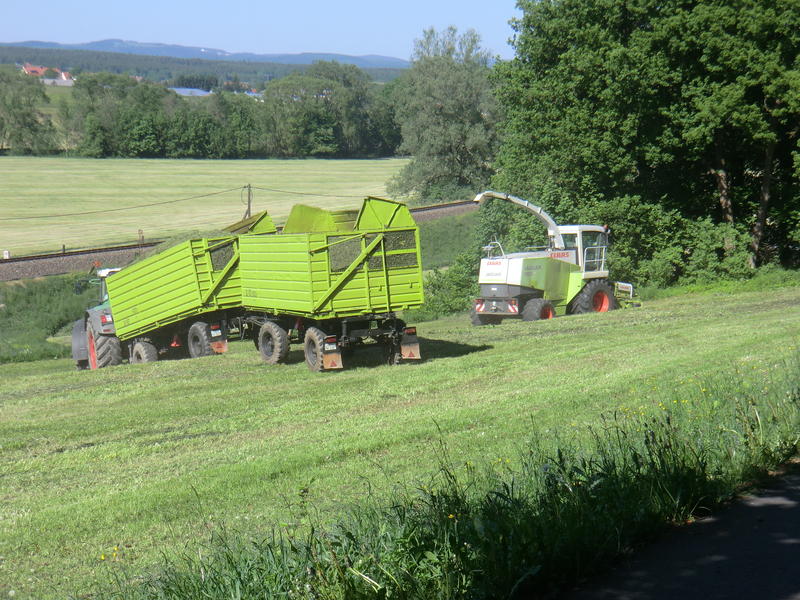 bilder/5_8_2019/20190805_113608.jpg