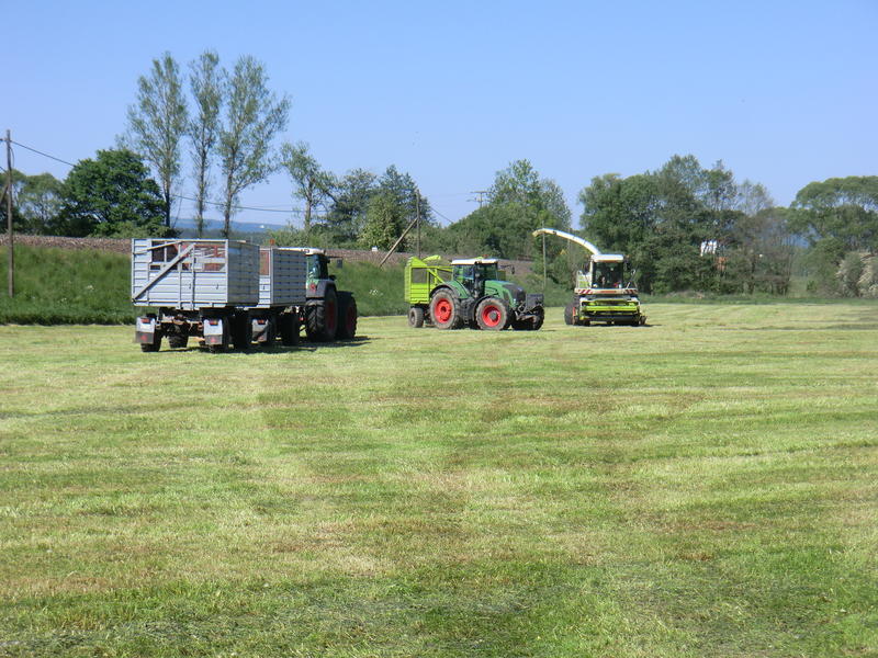 CIMG8410.jpg