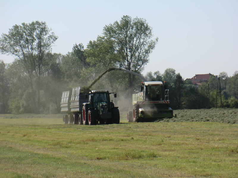 CIMG8419.jpg
