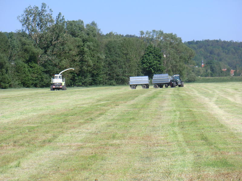 CIMG8423.jpg