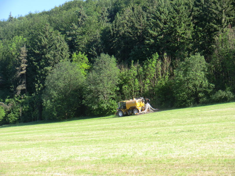 CIMG8431.jpg