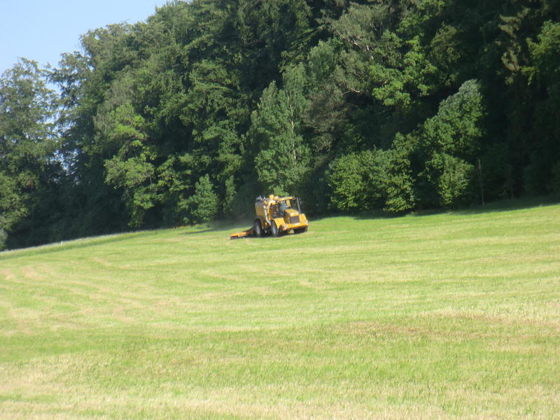 bilder/20_04_2010_1/IMGP0556.jpg