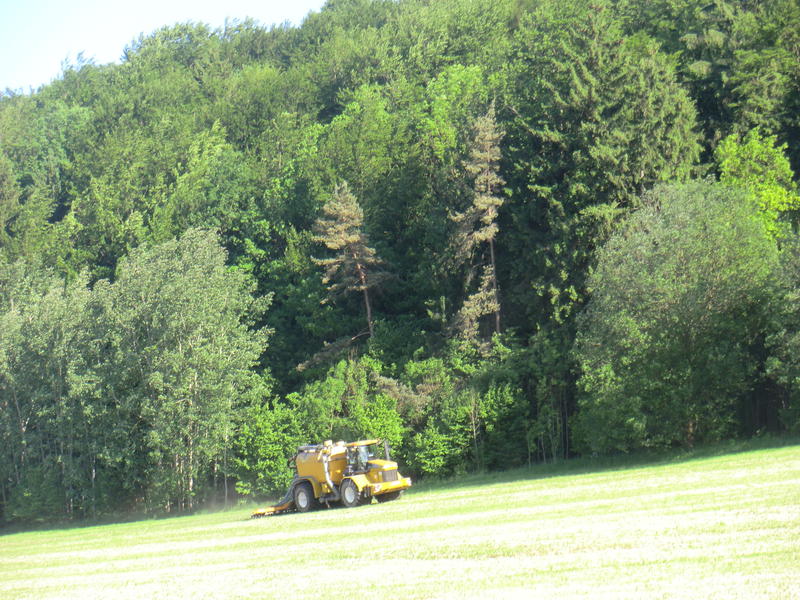 bilder/25_5_2012_2/CIMG8434.jpg