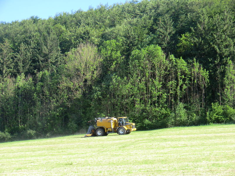 CIMG8435.jpg