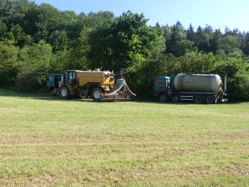 bilder/25_5_2012_2/CIMG8440.jpg