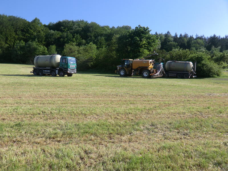 bilder/25_5_2012_2/CIMG8442.jpg