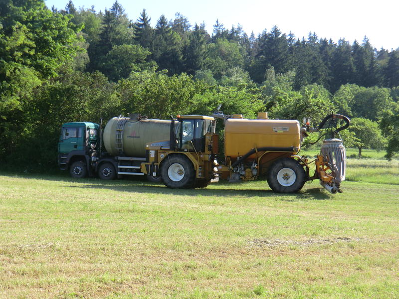 bilder/22_4_2011/CIMG1761.jpg