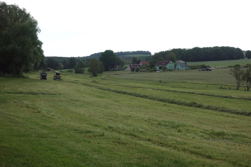 DSC02224.jpg