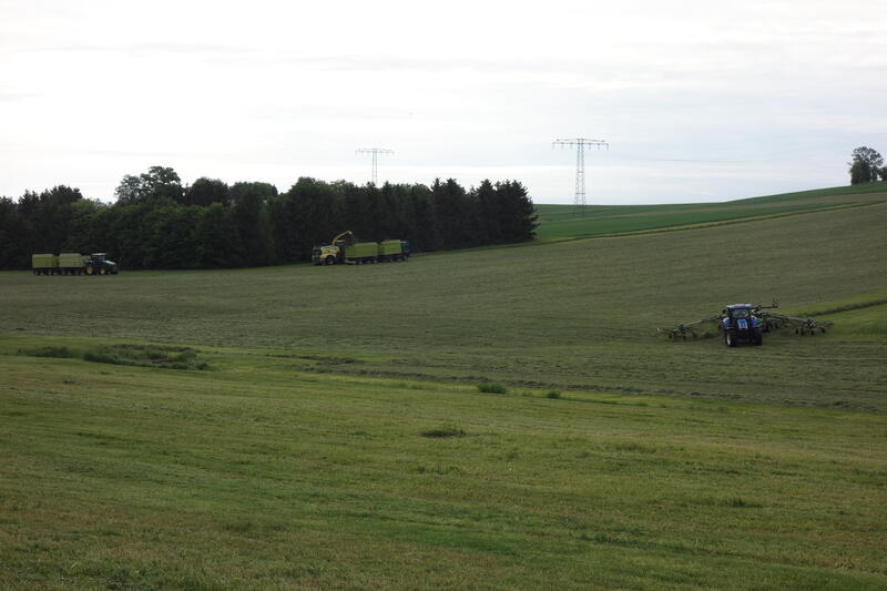 bilder/2_7_2013_3/CIMG8027.jpg