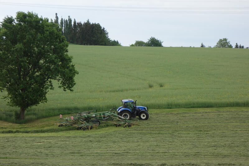 bilder/10_4_2002/terra_gator_+_tatra.jpg