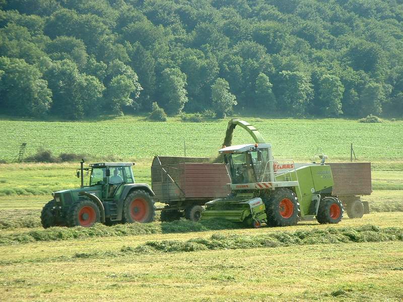 bilder/25_6_2002/jaguar_900_+_fendt_824.jpg