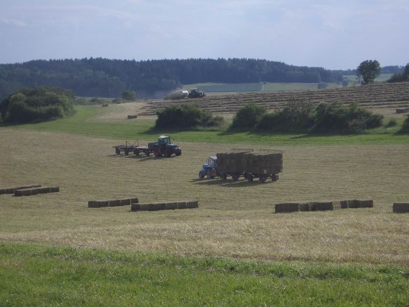 bilder/25_6_2004/2x_fendt_zt_303.jpg