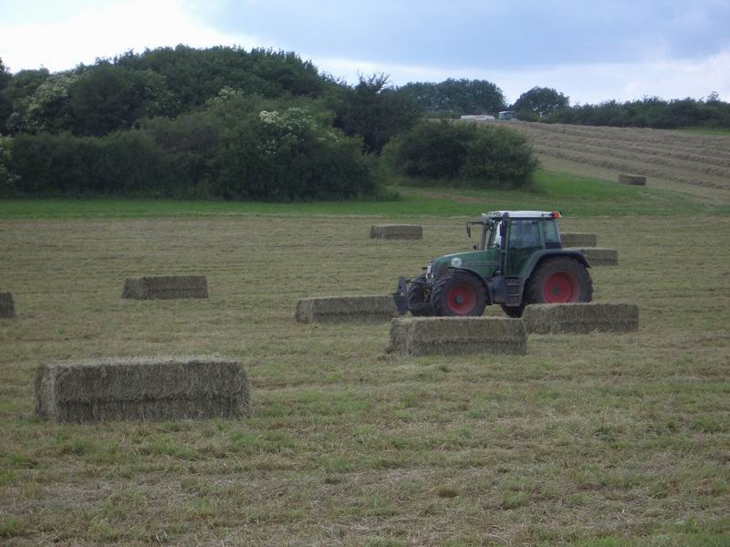 bilder/25_6_2004/fendt_2.jpg