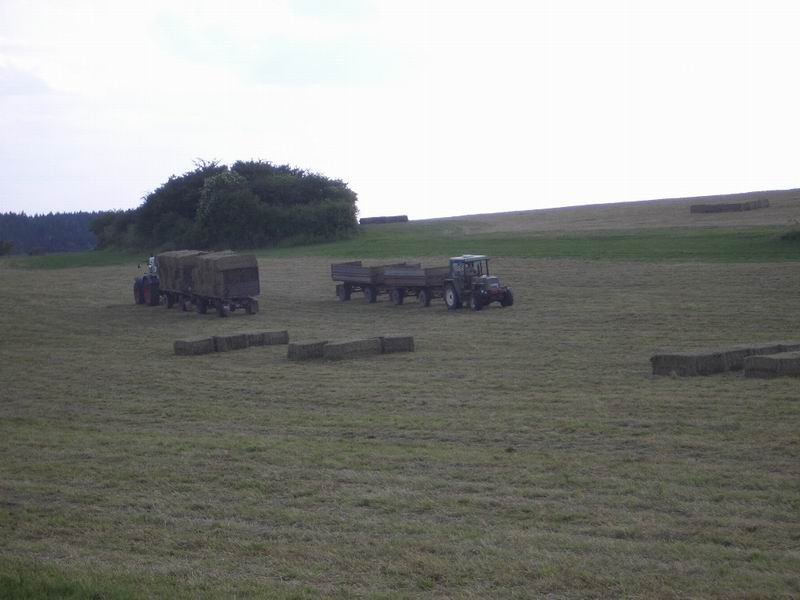 fendt_zt_323.jpg