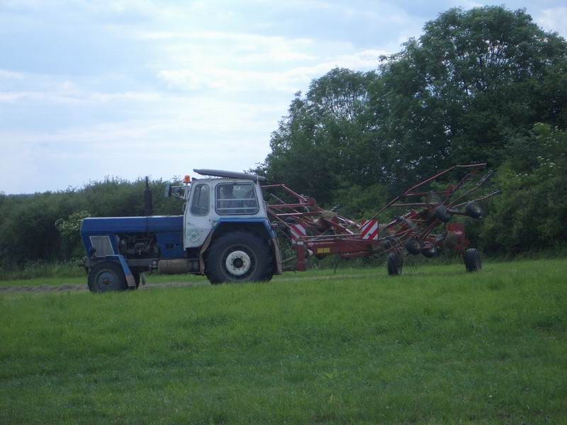 bilder/25_6_2004/zt_300_6.jpg