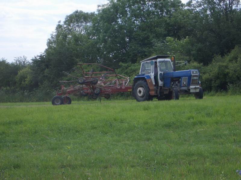 zt_300_9.jpg