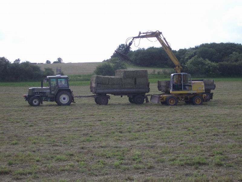 bilder/6_6_2011/CIMG2363.jpg