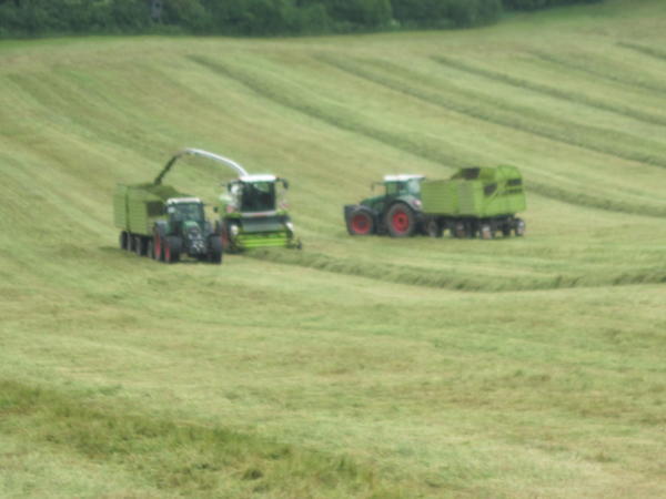 bilder/5_8_2005/fendt_716.jpg