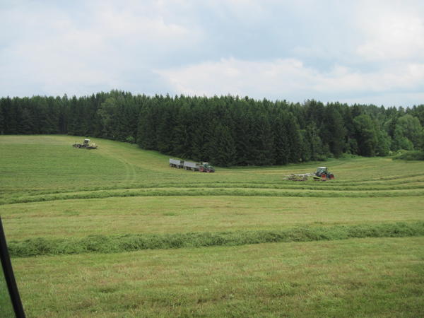 IMG_0075.jpg