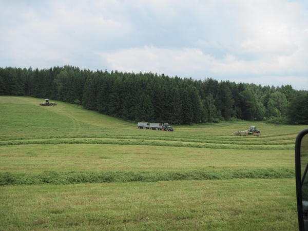 IMG_0077.jpg