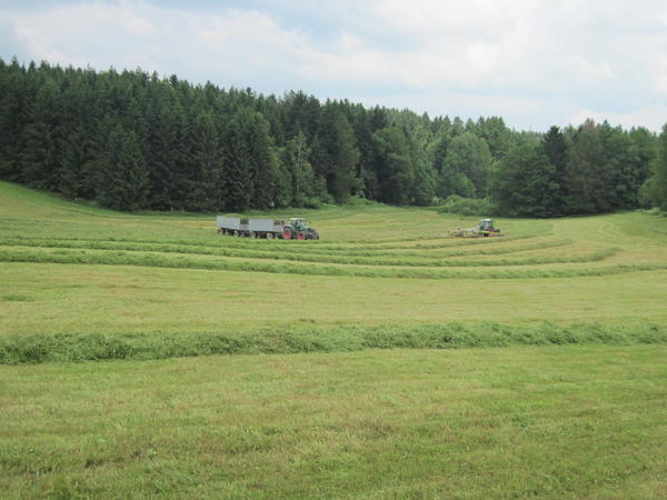 IMG_0079.jpg