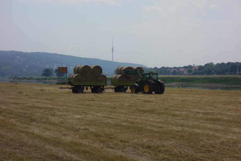 bilder/25_6_2016/DSC04935.jpg