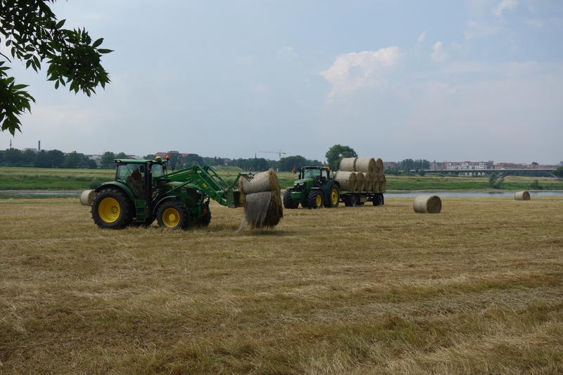 bilder/19_7_2003/lexion_+_2x_fendt_824.jpg