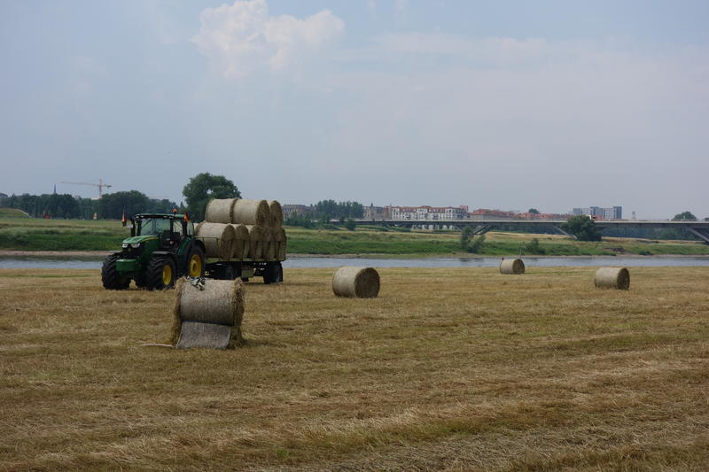 bilder/22_8_2005/lexion_fendt_11.jpg